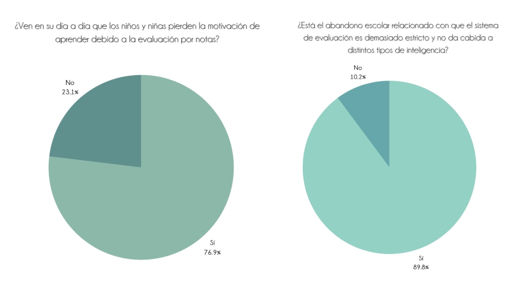 Gráficos circulares observatorio Montessori Canela Internacional 